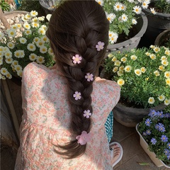 Mode Candy Farbe Kamelie Blume Kleine Seite Haar Bang Clip Haar Zubehör