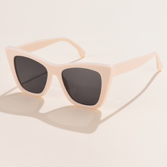 New style Fashion Large Rim Cat Eye Women's Sunglasses