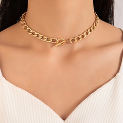 Fashion Simple Hip Hop Thick Chain Single-Layer Geometric Alloy Necklace
