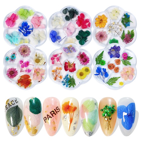 Belleza de uñas flores secas 7 rejilla en caja girasol cielo estrellado flores naturales DIY decoración de uñas's discount tags