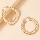 Fashion Alloy Geometric Twisted Circle Vintage Alloy Earringspicture7
