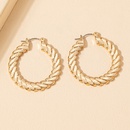 Fashion Alloy Geometric Twisted Circle Vintage Alloy Earringspicture5