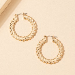 Fashion Alloy Geometric Twisted Circle Vintage Alloy Earringspicture6
