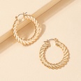 Fashion Alloy Geometric Twisted Circle Vintage Alloy Earringspicture8