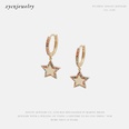 fashion color zircon fivepointed star earrings wholesalepicture21