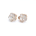 Alloy Fashion Flowers earring  Photo Color  Fashion Jewelry NHOM1591PhotoColorpicture4