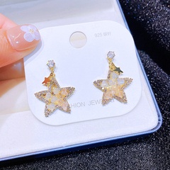 Elegant Crystal Earrings Gradient Star Ear Stud Earring Wholesale