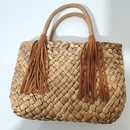 Gourd Grass HandWoven Summer New Basket Straw Handbag Tassel Small Shoulder Bagpicture6