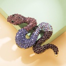 Nouveau Diamant Serpent Mignon Broches  La Mode Corsage Accessoires Broche En Alliagepicture8