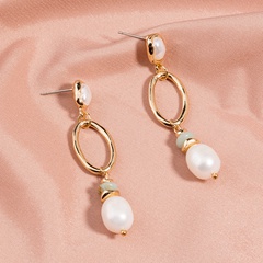 Women'S Retro Geometric Alloy Earrings Plating Pearl Drop Earrings 1 Piece