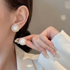 Luxus Legierung Halbkugel Ohrringe Bankett Diamant Strass steine Stud Ohrringe Wie in der Abbildung gezeigt