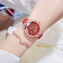 Bohemian Style Damen Grtel Uhr Mode Farbe Diamant Goldfisch Muster Quarz Damen Grtel Uhr watchpicture10
