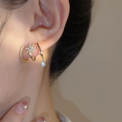 Frau Mode Geometrisch Legierung Ohrringe Quaste Zirkon Ohrringe