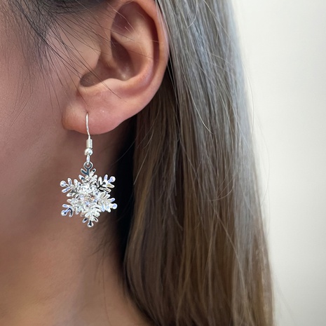Fashion Snowflake Alloy No Inlaid Earrings's discount tags
