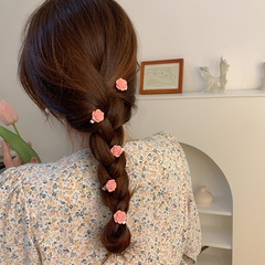 Cute Resin Flowers Hair Accessories Daily Barrettes As Shown in the Picture