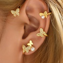 Frau Mode Sss Einfacher Stil Schmetterling Kupfer Vergoldet Ohrringe berzug Zirkon Ohrringepicture7