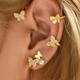 Frau Mode Sss Einfacher Stil Schmetterling Kupfer Vergoldet Ohrringe berzug Zirkon Ohrringepicture10
