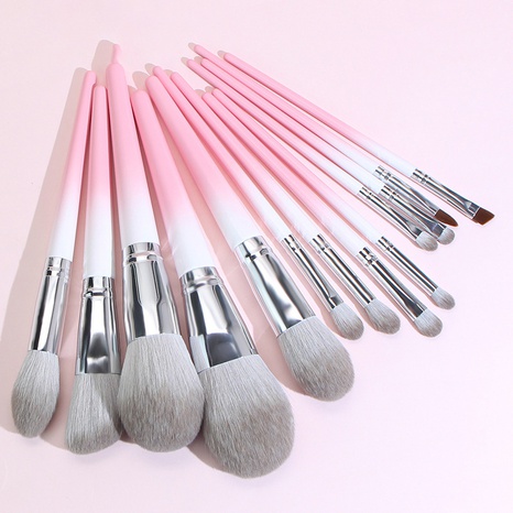 13 PCs Gradient Color Pink Grey Fiber Wool Full Set Beauty Makeup Brush Set's discount tags
