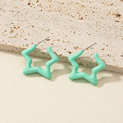 Fashion Star Arylic Earrings's discount tags