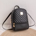 Fashion Stripe Solid Color Bucket Zipper Backpackpicture11