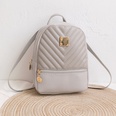 Fashion Stripe Solid Color Bucket Zipper Backpackpicture10