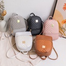 Fashion Stripe Solid Color Bucket Zipper Backpackpicture4