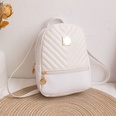 Fashion Stripe Solid Color Bucket Zipper Backpackpicture9
