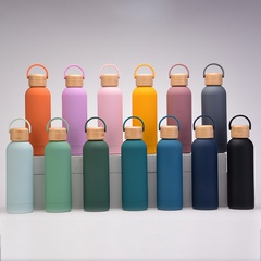 Fashion Solid Color Stainless Steel Thermos Cup