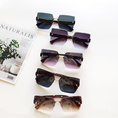 Unisex Fashion Solid Color Resin Square Sunglasses