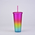 2022 neue Regenbogen farbe ins Wind Doppels chicht Kunststoff Stroh Tasse grenz berschreitende gefrostete Hand Tasse Outdoor Sport Wasser Tassepicture19