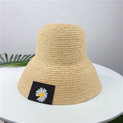 Women'S Vacation Solid Color Flower Big Eaves Bucket Hat