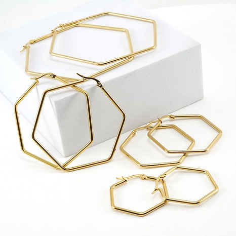 Einfacher Stil Hexagon Titan Stahl Ohrringe Überzug Edelstahl Ohrringe's discount tags