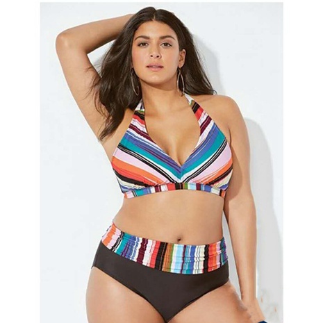Women'S Stripe Polyester Plus Size Swimwear's discount tags