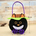 Halloween Pumpkin Cloth Party candy basketpicture14
