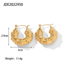 Fashion Geometric Stainless Steel Earrings Gold Plated Stainless Steel Earringspicture17