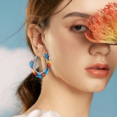 Retro Multicolor Glass Beaded Tassel Women'S Earrings 1 Pair