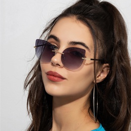 Fashion Geometric Pc Butterfly Frame Frameless Womens Sunglassespicture9