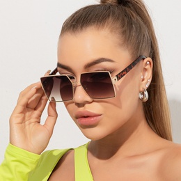 Fashion Leopard Pc Square Full Frame Womens Sunglassespicture7