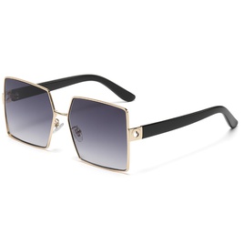 Fashion Leopard Pc Square Full Frame Womens Sunglassespicture11