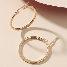 Fashion Solid Color Stainless Steel Plating Hoop Earrings 1 Pairpicture8
