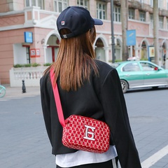 Women'S Small All Seasons Nylon Letter Streetwear Square Zipper Crossbody Bag
